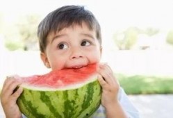 一个免费吃瓜网站是什么,揭秘网络世界的免费娱乐盛宴