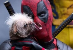 漫威最新爆料死侍图片,死侍全新形象首度曝光，颠覆传统英雄形象